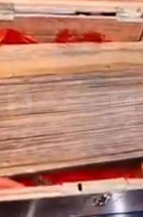 പുരാവസ്തു തട്ടിപ്പ് കേസില്‍ പിടിയിലായ മോന്‍സന്‍ മാവുങ്കലിന്റെ പക്കലുണ്ടായിരുന്ന ചെമ്പോല വ്യാജം: ചരിത്രകാരന്‍ എം.ജി. ശശിഭൂഷണ്‍