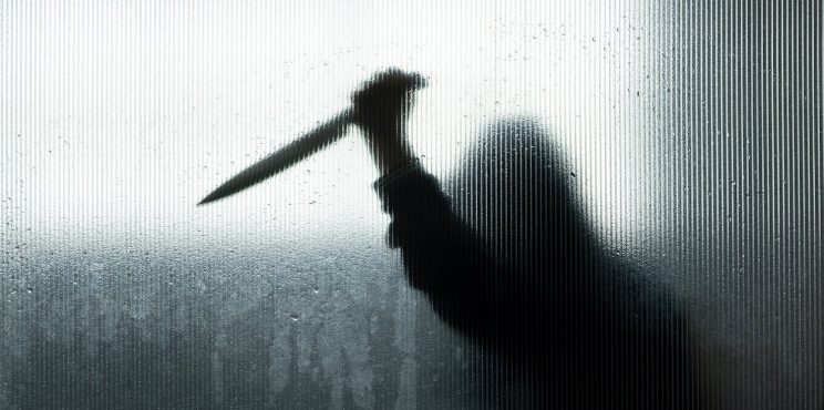 പാലക്കാട് മേലാ മുറിയിൽ ആർ എസ് എസ് മുൻ ശാരീരിക് ശിക്ഷൺ പ്രമുഖ് ശ്രീനിവാസനെ കടയിൽ കയറി വെട്ടി കൊന്നു