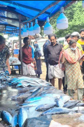 60 കി​ലോ പ​ഴ​കി​യ മ​ത്സ്യം പിടികൂടി