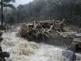 മഹാരാ​ഷ്ട്ര​യി​ല്‍ ക​ന​ത്ത​ മ​ഴ​യെ​തു​ട​ര്‍​ന്നു​ണ്ടാ​യ മ​ണ്ണി​ടി​ച്ചി​ലി​ല്‍ ഒ​രാ​ള്‍ മ​രി​ച്ചു
