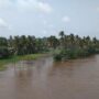 നിലമ്പൂരിൽ ഒരു കുടുംബത്തിലെ അഞ്ച് പേർ ഒഴുക്കിൽപ്പെട്ടു