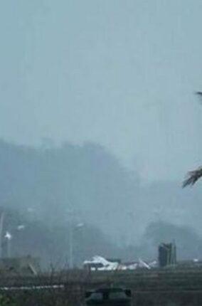 മഴ, പലയിടത്തും നാശനഷ്ടങ്ങള്‍